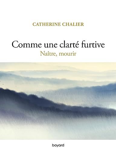 Comme une clart&eacute; furtive