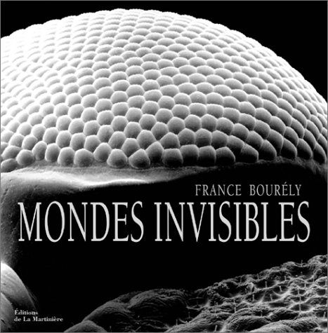 Mondes invisibles: &eacute;loge de la beaut&eacute; cach&eacute;e