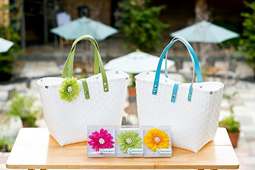 Le R&ecirc;ve de Dieu sur l'humanit&eacute;