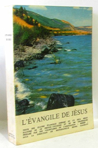 L'&eacute;vangile de J&eacute;sus
