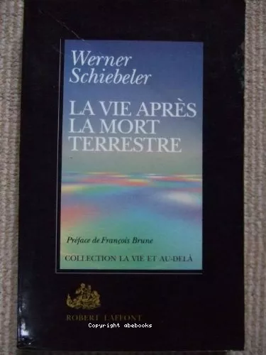 La vie aprs la mort terrestre