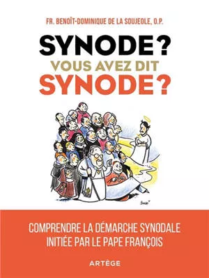 Synode ? vous avez dit synode ?