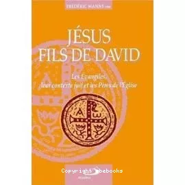 Jsus, fils de David : les vangiles, leur contexte juif, et les Pres de l'Eglise