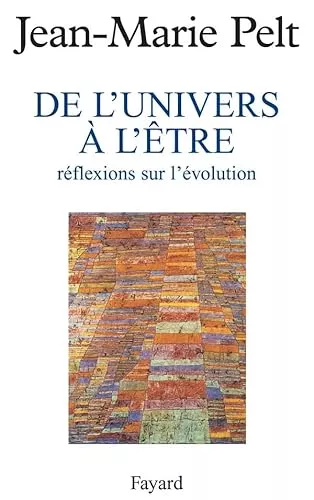 De l'univers  l'tre : rflexions sur l'volution