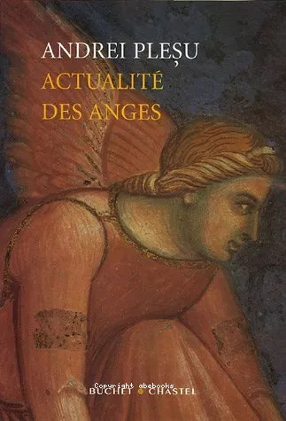 Actualit des anges : essai