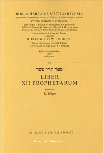 Liber XII Prophetarun