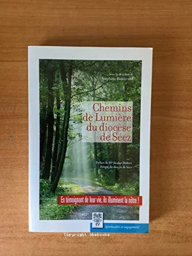 Chemins de Lumire du diocse de Sez